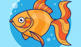 动漫金鱼,探寻动漫世界的奇幻之旅